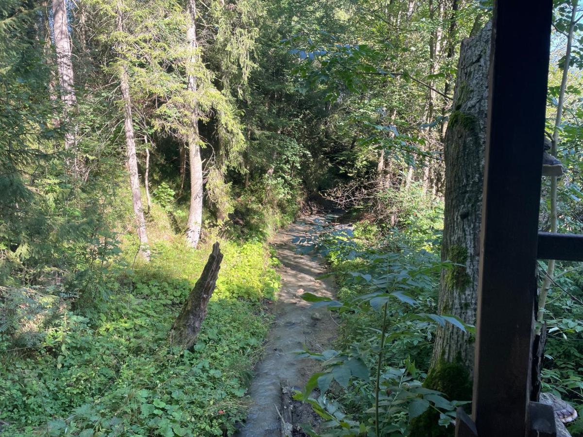 Apartament Idylla Lejlighed Zakopane Eksteriør billede